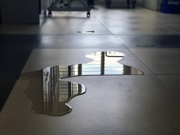Professional Water damage restoration in MI