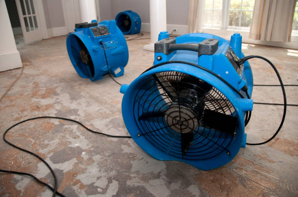 Best Ceiling water damage repair  in Pigeon, MI