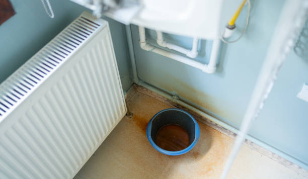 Best Mold removal after water damage  in Pigeon, MI