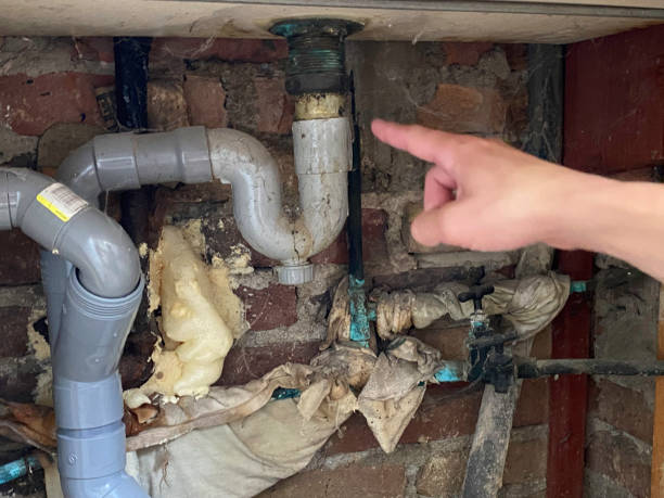 Best Flood restoration services  in Pigeon, MI