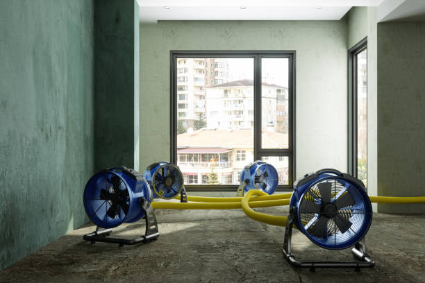 Best Sewage cleanup and water damage restoration  in Pigeon, MI