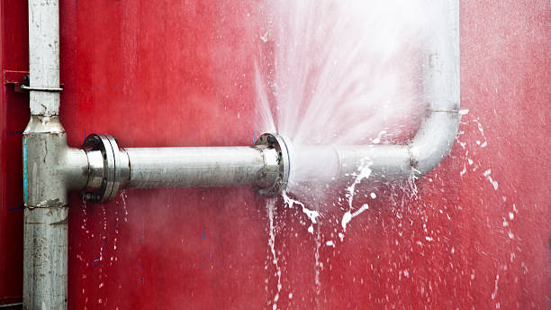 Best Basement water damage restoration  in Pigeon, MI