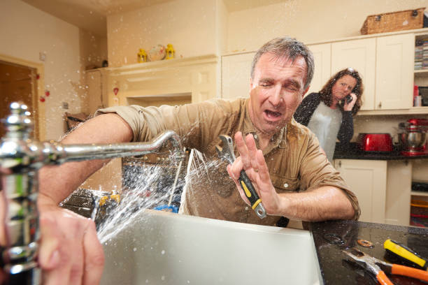 Best Local water damage restoration  in Pigeon, MI